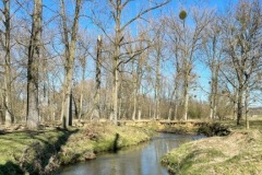 PHOTO-2022-03-21-19-57-56