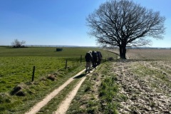 PHOTO-2022-03-21-19-57-57