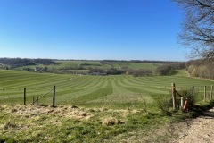 PHOTO-2022-03-21-19-57-59