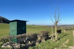 PHOTO-2022-03-21-19-57-59_1