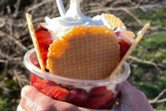 PHOTO-2022-03-21-19-58-00