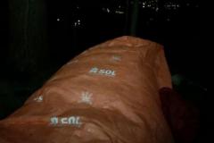 PHOTO-2022-03-21-19-58-03_1