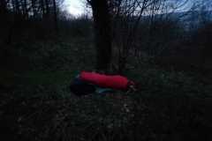 PHOTO-2022-03-21-19-58-03_2