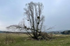 PHOTO-2022-03-21-19-58-05_2