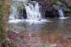 PHOTO-2024-03-27-18-11-26