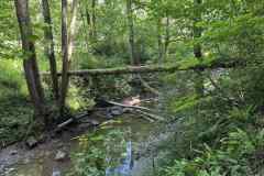 BSG-Hemelvaart-Barvaux-mei-2025_150