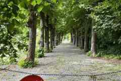 BSG-Hemelvaart-Barvaux-mei-2025_320