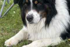 BSG-Hemelvaart-Barvaux-mei-2025_420