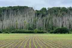 BSG-Hemelvaart-Barvaux-mei-2025_50