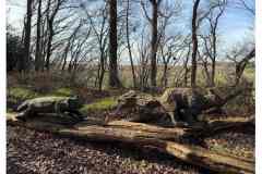 BSG-wandeling-BopZoom-feb-2026_015