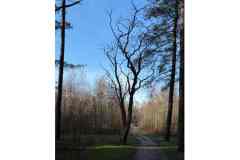 BSG-wandeling-BopZoom-feb-2026_026