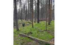 BSG-wandeling-BopZoom-feb-2026_030