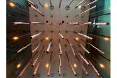 BSG-wandeling-BopZoom-feb-2026_032