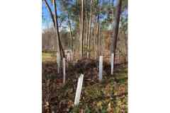 BSG-wandeling-BopZoom-feb-2026_04