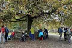BSG-Veenendaal_West-2023_Niek_012