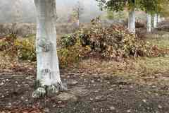 BSG-Veenendaal_West-2023_Niek_014