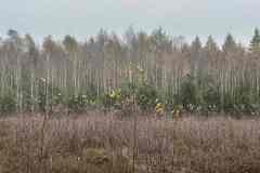 BSG-Veenendaal_West-2023_Niek_015