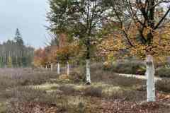 BSG-Veenendaal_West-2023_Niek_016