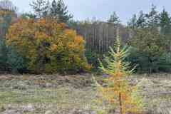 BSG-Veenendaal_West-2023_Niek_023