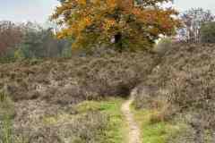 BSG-Veenendaal_West-2023_Niek_024