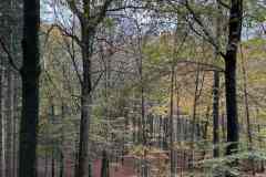 BSG-Veenendaal_West-2023_Niek_027