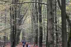 BSG-Veenendaal_West-2023_Niek_031