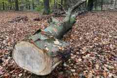 BSG-Veenendaal_West-2023_Niek_032