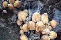 BSG-Veenendaal_West-2023_Niek_034