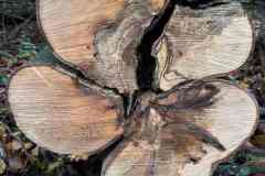 BSG-Veenendaal_West-2023_Niek_036