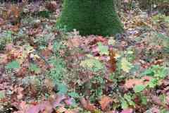 BSG-Veenendaal_West-2023_Niek_038