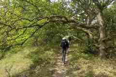 BSG-Kijfhoek_Bierlap-14-mei-2023_Niek_010