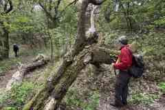 BSG-Kijfhoek_Bierlap-14-mei-2023_Niek_014