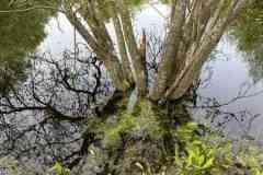 BSG-Kijfhoek_Bierlap-14-mei-2023_Niek_017