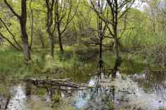 BSG-Kijfhoek_Bierlap-14-mei-2023_Niek_019