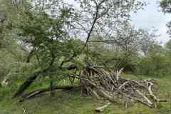 BSG-Kijfhoek_Bierlap-14-mei-2023_Niek_02