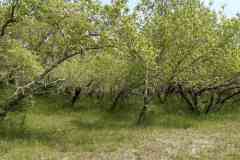 BSG-Kijfhoek_Bierlap-14-mei-2023_Niek_022