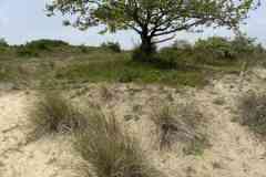 BSG-Kijfhoek_Bierlap-14-mei-2023_Niek_024