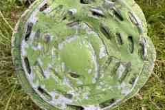 BSG-Kijfhoek_Bierlap-14-mei-2023_Niek_026