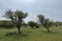 BSG-Kijfhoek_Bierlap-14-mei-2023_Niek_027