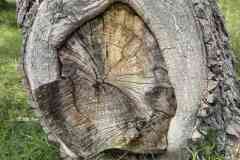 BSG-Kijfhoek_Bierlap-14-mei-2023_Niek_029