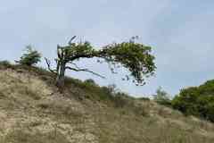 BSG-Kijfhoek_Bierlap-14-mei-2023_Niek_030