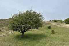 BSG-Kijfhoek_Bierlap-14-mei-2023_Niek_031