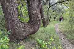 BSG-Kijfhoek_Bierlap-14-mei-2023_Niek_032