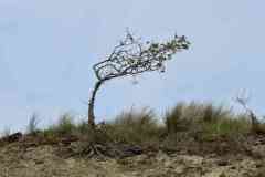 BSG-Kijfhoek_Bierlap-14-mei-2023_Niek_033