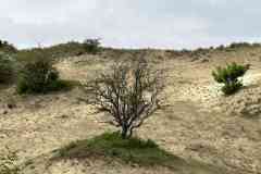 BSG-Kijfhoek_Bierlap-14-mei-2023_Niek_034