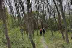 BSG-Kijfhoek_Bierlap-14-mei-2023_Niek_035