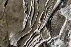 BSG-Kijfhoek_Bierlap-14-mei-2023_Niek_038