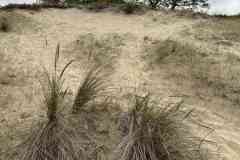 BSG-Kijfhoek_Bierlap-14-mei-2023_Niek_06