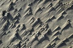 BSG-HoekvHolland-202312010_Niek_012