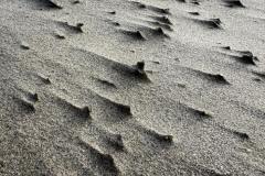 BSG-HoekvHolland-202312010_Niek_023